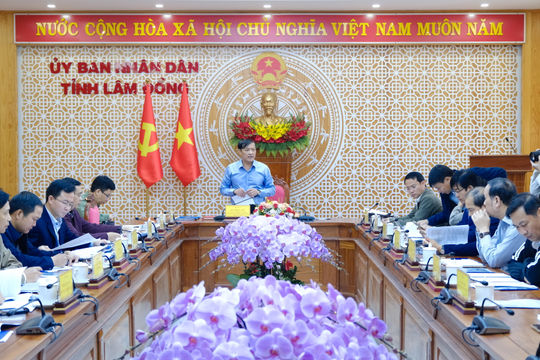 Lâm Đồng rà soát, tháo gỡ vướng mắc triển khai Quy hoạch điện VIII
