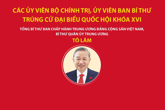 Các Ủy viên Bộ Chính trị, Ủy viên Ban Bí thư trúng cử đại biểu Quốc hội khóa XVI