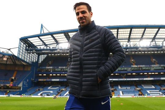 Chelsea nhắm Cesc Fabregas thay thế Liam Rosenior: Hy vọng từ biểu tượng cũ