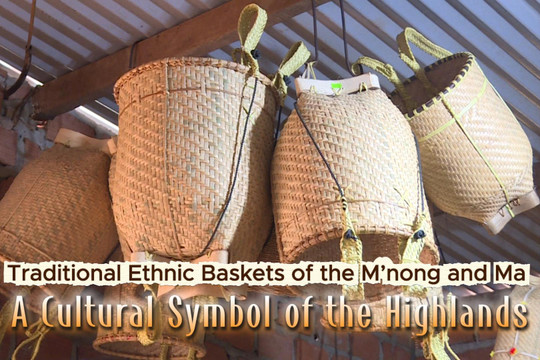Traditional Baskets of the M’nong and Ma Peoples – A Cultural Symbol of the Highlands