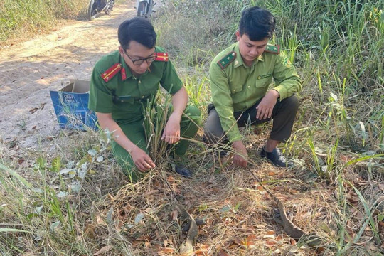 Nâng cao nhận thức bảo vệ động vật hoang dã, nguồn lợi thủy sản