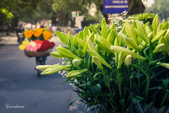 Dự báo thời tiết 10 ngày từ 25/03/2026 đến 04/04/2026: Bắc Bộ và Trung Bộ sắp nắng nóng diện rộng