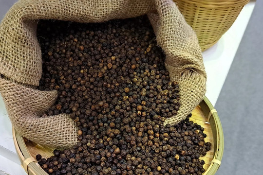 Giá tiêu hôm nay 26/3/2026: Đang có mức cao nhất là 139.000 đồng/kg