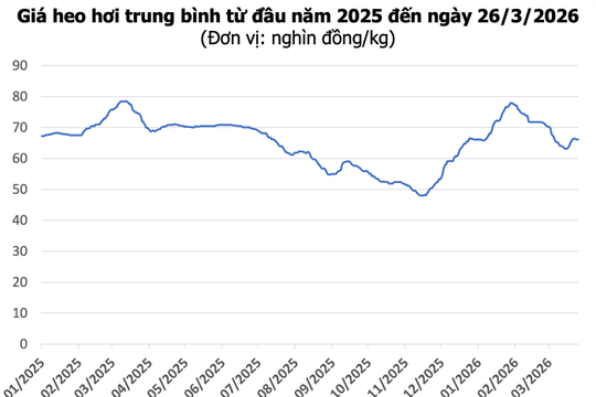 Giá heo hơi hôm nay 26/3/2026: Thị trường đi ngang, cao nhất 69.000 đồng/kg