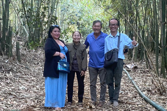 Tiềm năng vùng nguyên liệu tre rừng