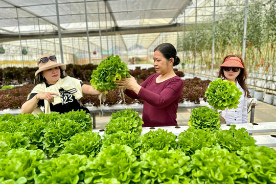 Kết nối tiêu thụ sản phẩm OCOP Lâm Đồng qua xúc tiến thương mại