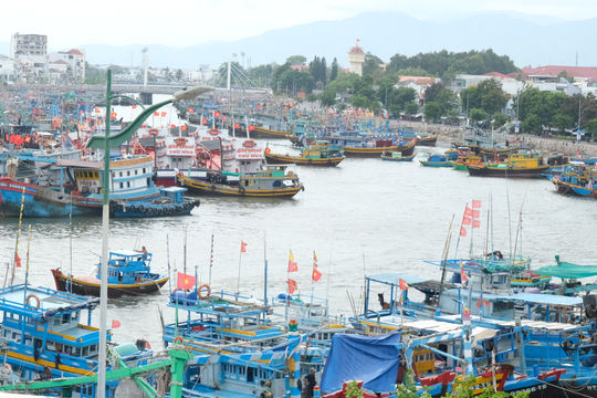 Lâm Đồng quyết liệt chống khai thác IUU, hướng tới nghề cá bền vững
