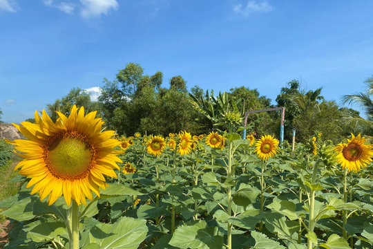 Developing agricultural tourism requires depth