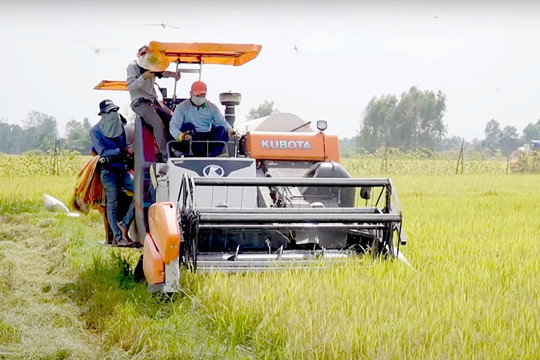 Thị trường phân bón ngày 30/3/2026: Nguồn cung thắt chặt đẩy mặt bằng giá duy trì ở mức cao