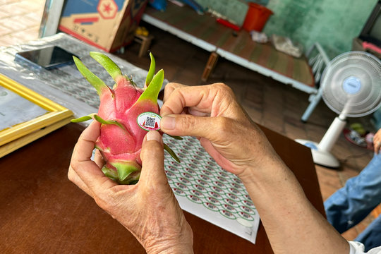 Lam Dong Advances Agricultural Traceability System in 2026