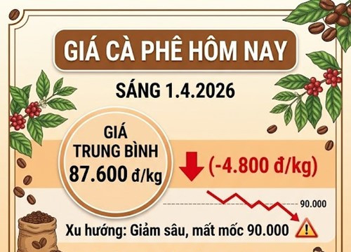 Giá cà phê ngày 1/4: Nội địa giảm sâu 4.800 đồng/kg, mất mốc 90.000 đồng
