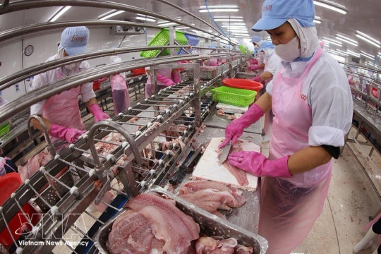Agro-forestry-fishery exports rise nearly 6% in Q1