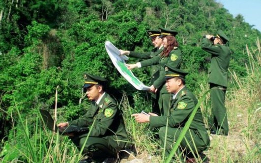 Có bắt buộc chuyển ngạch Kiểm lâm viên sang Chuyên viên?