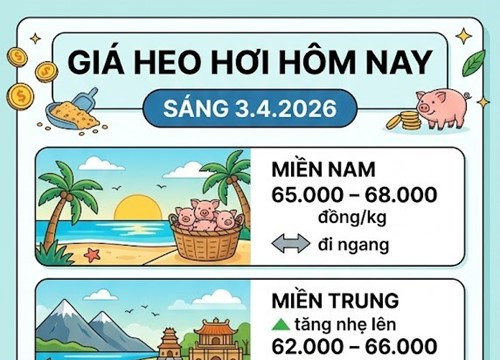 Giá heo hơi hôm nay 3/4: Thị trường phục hồi tại nhiều nơi, cao nhất 68.000 đồng/kg