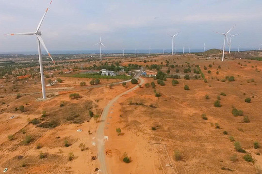 Thu ngân sách từ đất đai của Lâm Đồng khởi sắc trong tháng 3