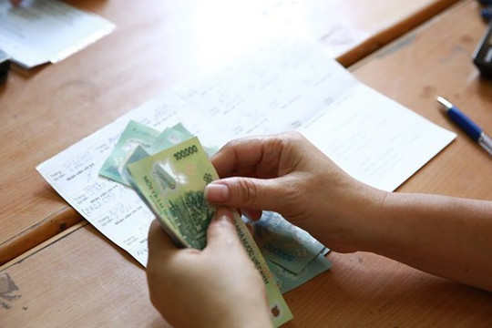 Viên chức bảo vệ thực vật có tiếp tục hưởng phụ cấp nghề sau sắp xếp tổ chức?