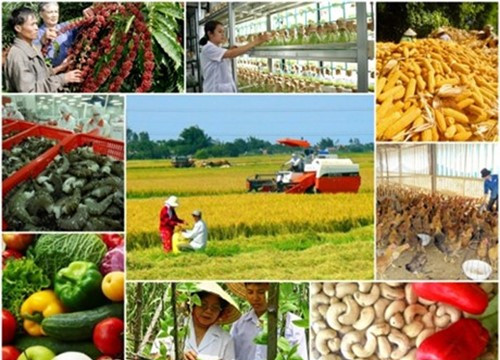 Xuất khẩu nông sản quý I/2026: Kim ngạch đạt 16,69 tỷ USD trong bối cảnh giá nhiều mặt hàng giảm