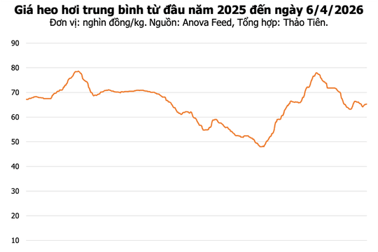 Giá heo hơi hôm nay 6/4: Nhiều nơi tăng nhẹ, giá cao nhất đạt 68.000 đồng/kg
