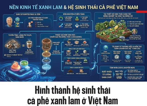 Ngành cà phê Việt Nam chuyển dịch sang hệ sinh thái xanh lam, kim ngạch đạt 8,92 tỷ USD