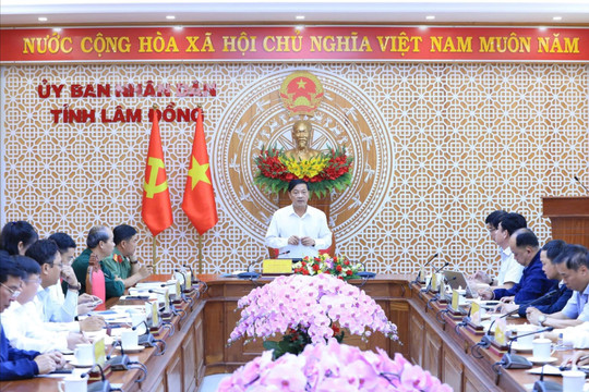 Lâm Đồng còn 250 đơn vị chưa triển khai lập phương án quản lý rừng