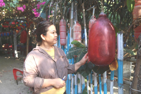 Cô Bảy Hòn Tranh “lên đời” cho rác đại dương