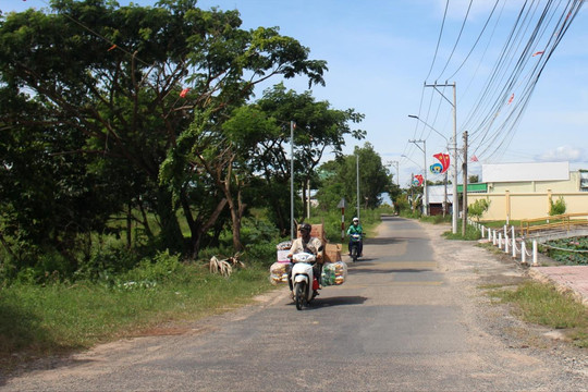Lâm Đồng phân loại 103 xã xây dựng nông thôn mới giai đoạn 2026 - 2030