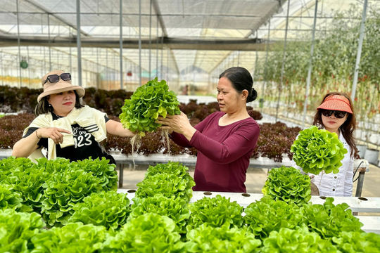 Đưa nông sản sạch Lâm Đồng đến với người tiêu dùng