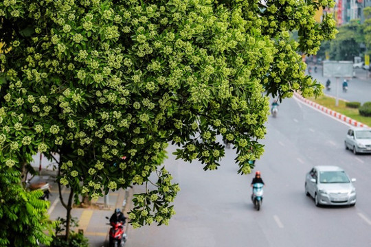 Ngọt ngào tháng tư