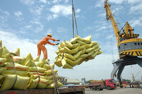 Giá gạo xuất khẩu Việt Nam ổn định ở mức 365 USD/tấn trong quý I/2026