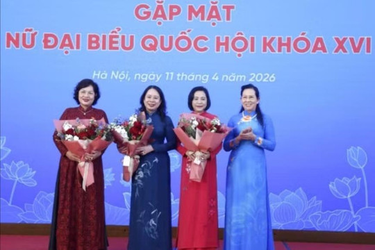 Quan tâm hơn nữa đến công tác đào tạo, bồi dưỡng cán bộ nữ từ sớm, từ xa