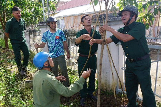 Ủy ban MTTQ Việt Nam tỉnh: Triển khai nhiều giải pháp đưa nghị quyết vào cuộc sống