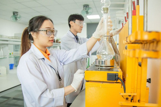 Điều kiện đặc cách thăng hạng Nghiên cứu viên cao cấp