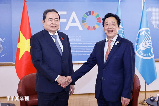 Thúc đẩy hợp tác nông nghiệp, an ninh lương thực giữa Việt Nam và FAO