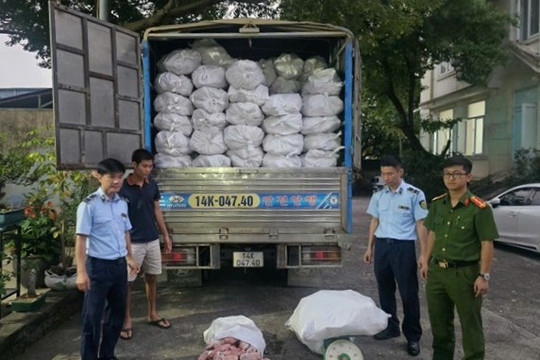 Quảng Ninh: Thu giữ hơn 12 tấn chân lợn đông lạnh không rõ nguồn gốc