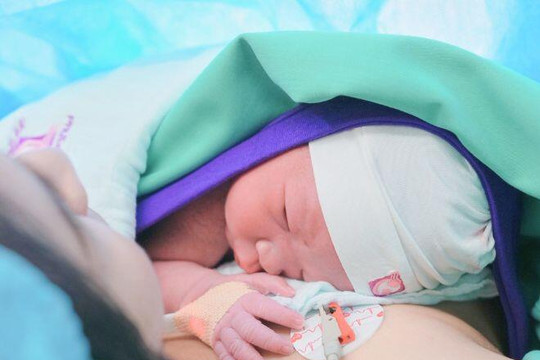 Mai Bảo Ngọc và đạo diễn Võ Thanh Hòa đón con trai thứ hai trước ngày ra mắt Heo 5 Móng