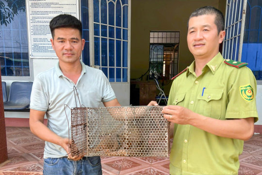 Nam tài xế tự nguyện giao nộp cá thể tê tê quý hiếm