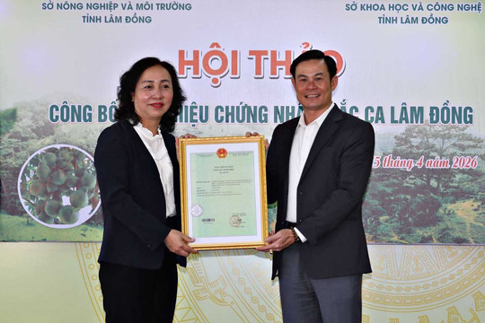 Ra mắt nhãn hiệu chứng nhận “Mắc ca Lâm Đồng”