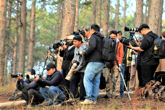 Da Lat – A muse for photographers