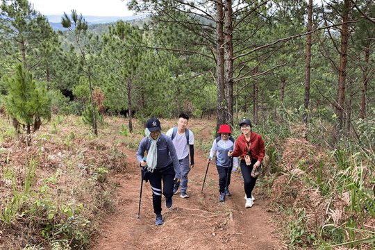 Gợi ý các tour Đà Lạt 1 ngày được du khách book nhiều nhất trên Traveloka