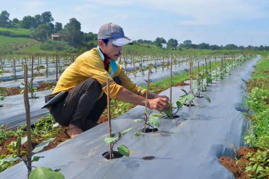 Ứng phó với khô hạn ở phía Tây