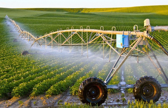 Dự thảo Nghị định Quy định về khu nông nghiệp ứng dụng công nghệ cao