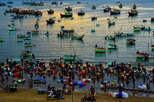 Mui Ne: From Fishing Village to Global Tourism Hub