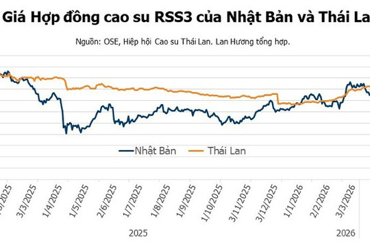 Giá cao su ngày 17/4/2026: Thị trường thế giới phục hồi mạnh sau chuỗi giảm dài