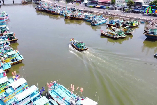 The Unique Coastal Craft of Building “Homes” for Fish