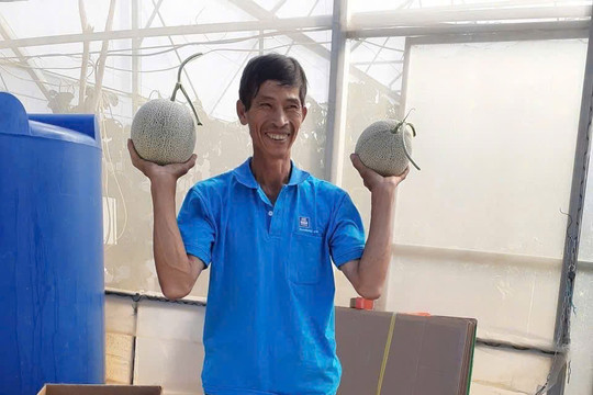 Bí thư Chi bộ làm kinh tế giỏi