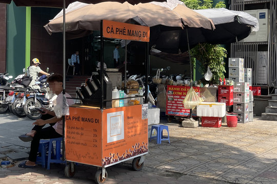 Giá cà phê ngày 17/4/2026: Robusta và Arabica đồng loạt giảm do đồng USD phục hồi