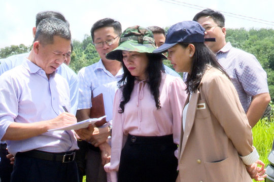 Nghị quyết số 71 - Khơi nguồn sinh khí mới cho giáo dục