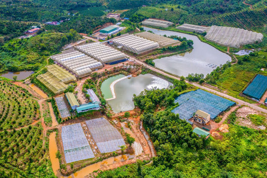 Thị trường công nghệ Lâm Đồng: Thực trạng và khát vọng bứt phá