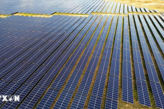 Ngày Trái Đất 2026: Những thách thức không chỉ từ môi trường