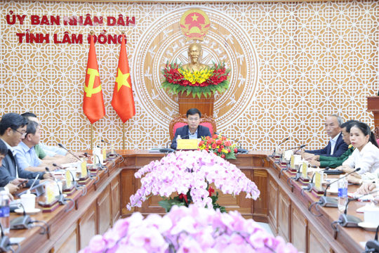 Lâm Đồng tập trung nguồn lực tìm kiếm, quy tập, xác định danh tính hài cốt liệt sĩ